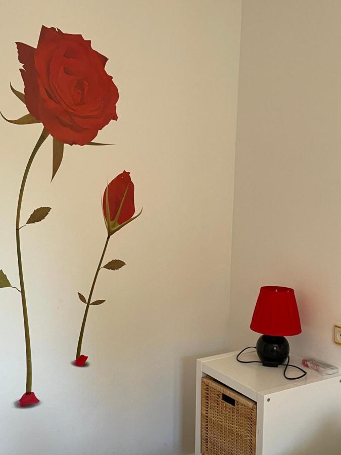 Apartamento Beatriz كوينكا المظهر الخارجي الصورة